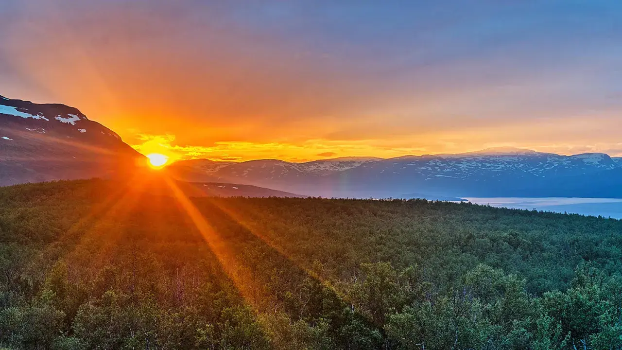 Solens strålar bryter fram bakom ett berg, badar skogen i ett gyllene sken. En glimt av det sydligaste midnattssolens magi över svenska fjäll.