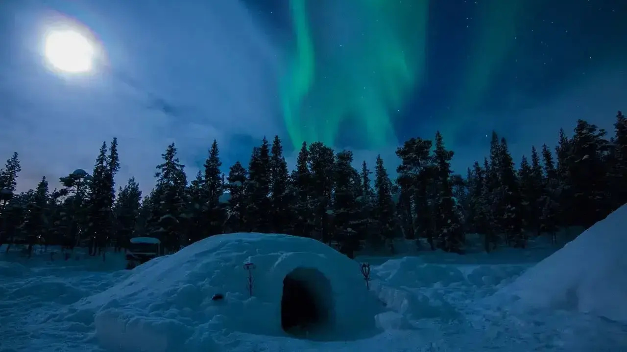 En glasigloo i Sverige under norrsken. En snöig skog och en fullmåne lyser upp natten.