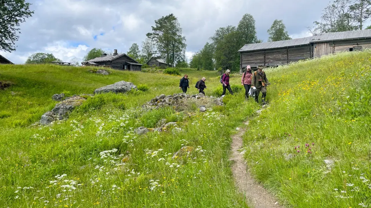 Vandring längs 7 torpsleden genom grönskande ängar med vilda blommor och gamla timmerhus.