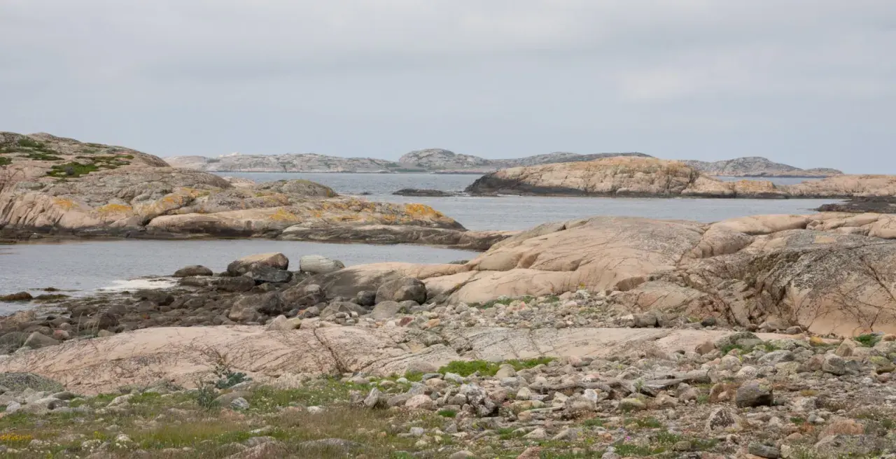 Klippiga öar och skär i havet, där tjurpannan leder vägen genom det karga landskapet.