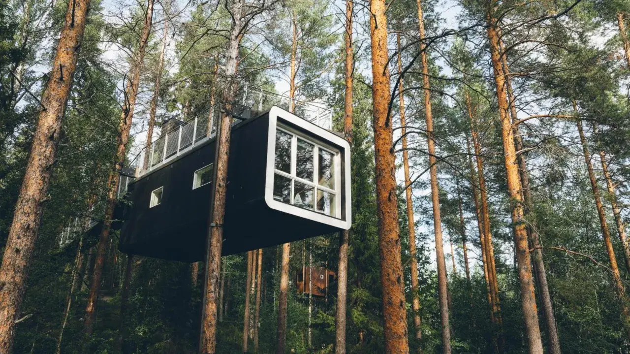 Modern tree hotel i en svensk skog. En svart kubformad byggnad med stora fönster hänger mellan trädstammarna.