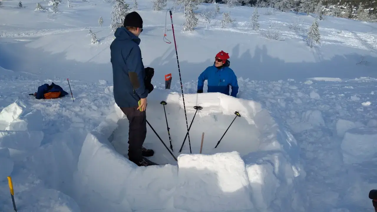 Två personer bygger en bivack i snön. De använder snöblock för att bygga väggarna och stavar för att markera utrymmet.