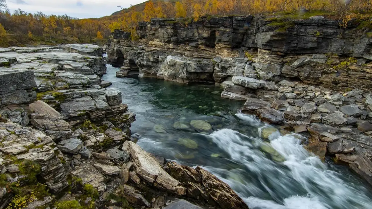 Vatten forsar genom Abisko kanjon, kantad av dramatiska klippformationer och höstens gyllene lövverk.