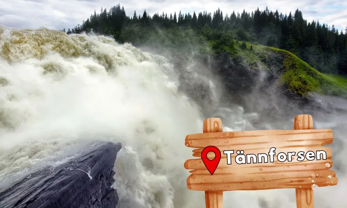 Tännforsen, en av Sveriges bästa vattenfallsvandringar, brusar fram. En träskylt markerar platsen.