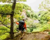 Vandrare med stor ryggsäck på en av STF:s signaturleder, omgiven av grönskande skog och en klippig ravin.