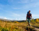Man med ryggsäck vandrar på en stig i svensk fjällterräng under en klarblå himmel. Höstfärger lyser upp landskapet.