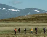 Vandring i fjällandskap med snöklädda toppar, en grupp vandrare med ryggsäckar rör sig genom gräs och ljung mot Helags Sylarna.
