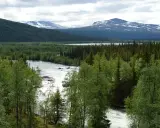 Vacker vy över forsande vatten och grönskande skog vid STF Kvikkjokk. Snöklädda fjäll i bakgrunden.