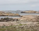 Klippiga öar och skär i havet, där tjurpannan leder vägen genom det karga landskapet.