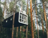 Modern tree hotel i en svensk skog. En svart kubformad byggnad med stora fönster hänger mellan trädstammarna.