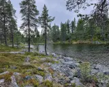 En sjö kantad av stenar och tallar i Rogens naturreservat. Marken är täckt av mossa och ljung.