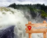 Tännforsen, en av Sveriges bästa vattenfallsvandringar, brusar fram. En träskylt markerar platsen.