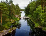 Vandrare korsar en träbro över en lugn sjö med näckrosor i **Tresticklans nationalpark**.