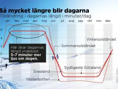 Graf som visar hur dagsljuset ökar efter 21 december vintersolståndet. Dagarna blir snabbast längre i norr.