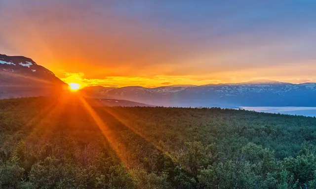 Solens strålar bryter fram bakom ett berg, badar skogen i ett gyllene sken. En glimt av det sydligaste midnattssolens magi över svenska fjäll.