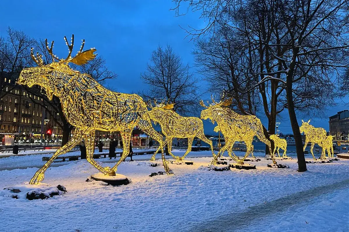 Julbelysning med älgar i snö. En magisk syn som visar när är jul i Sverige.