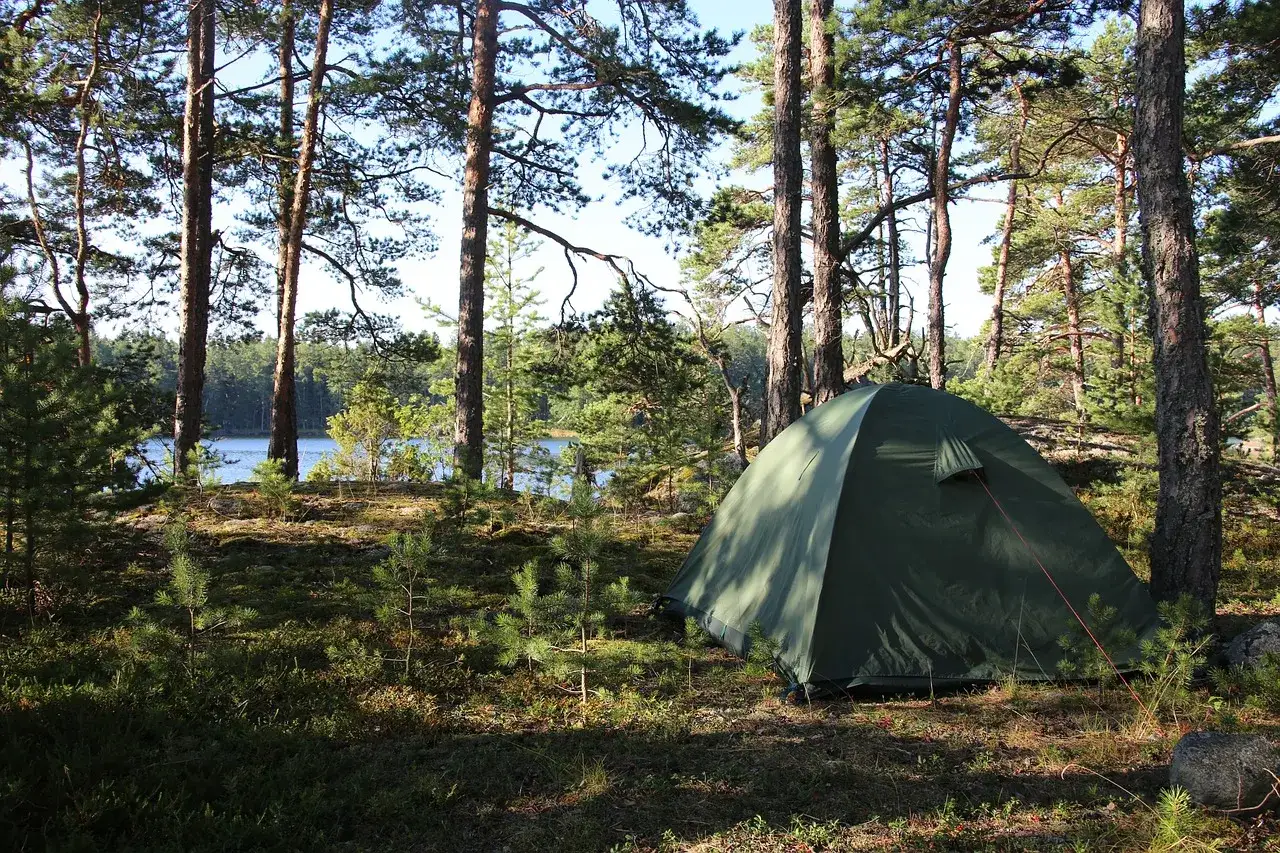 Grön campingtält i en tallskog vid en sjö, perfekt för camping i Luleå.