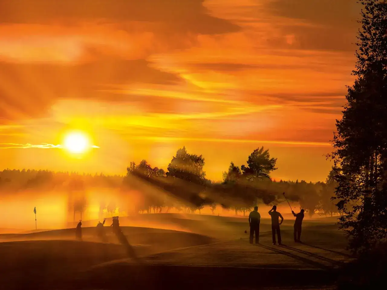 Golfare i solnedgången vid midsommar. Solen lyser starkt genom dimman över golfbanan, en perfekt svensk sommardag.