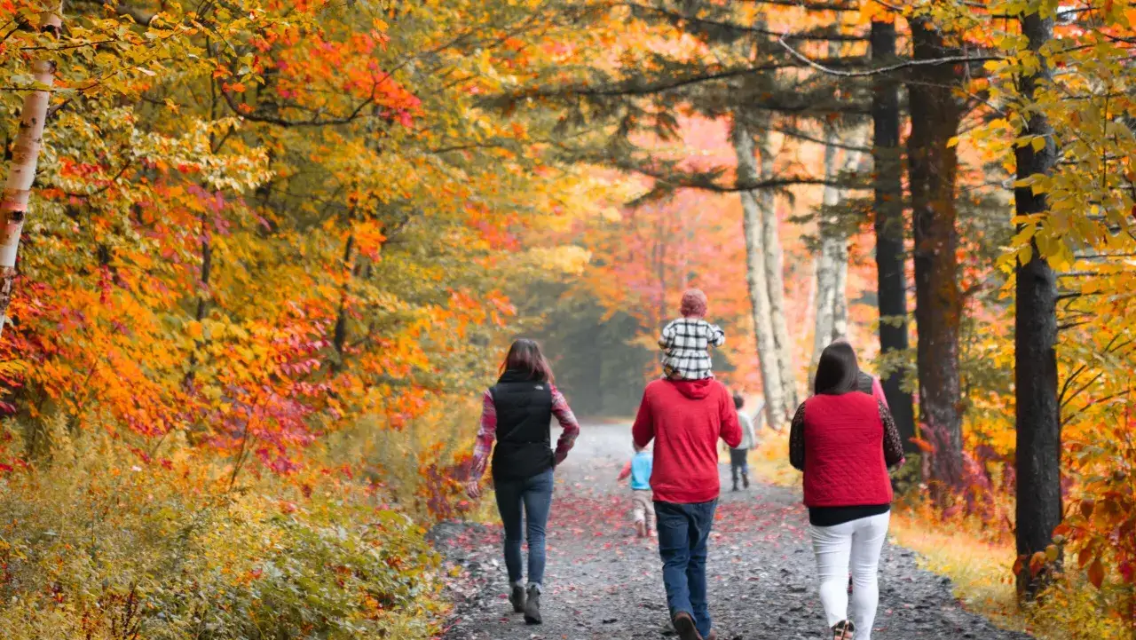 En familj promenerar på en stig i höstfärgad skog. Hur lång tid tar det att gå en mil? Kanske lika lång tid som det tar att njuta av denna vackra utsikt.