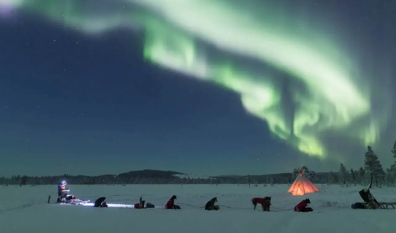 En hundspannsresa under norrskenet i Kiruna. En glödande kåta och hundar väntar på äventyr. Besök Kiruna för en magisk upplevelse.