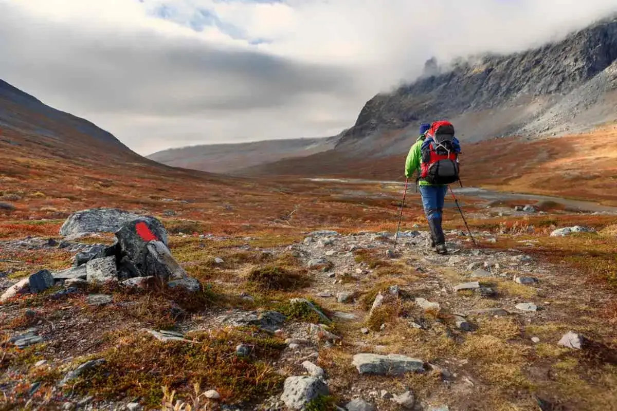 Vandrare med ryggsäck följer den markerade kungsleden genom ett höstfärgat landskap med fjäll i bakgrunden.