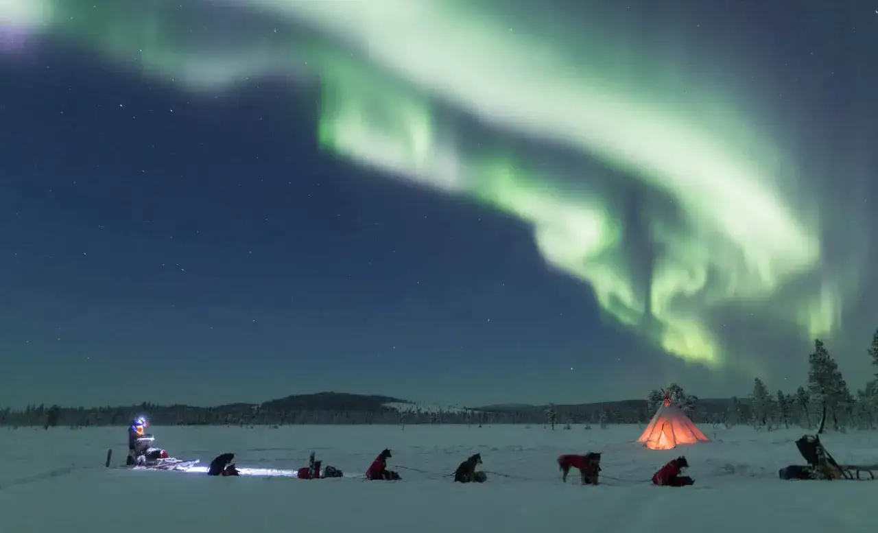 Vackert kiruna landskap med norrsken som dansar över en snötäckt vildmark. En hundspann väntar vid en upplyst kåta.