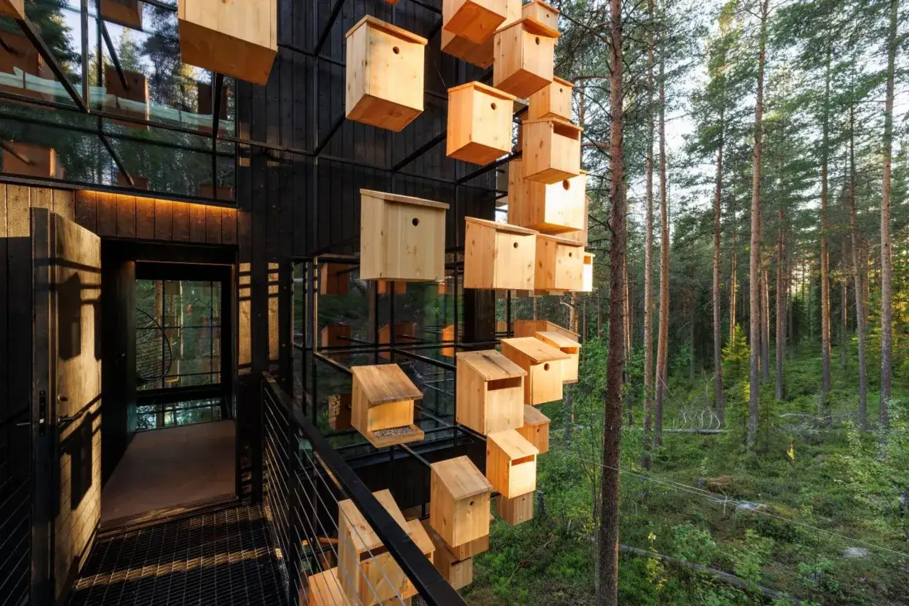 Trädhotell i Sverige med många fågelholkar som hänger på en svart metallkonstruktion i en skog.
