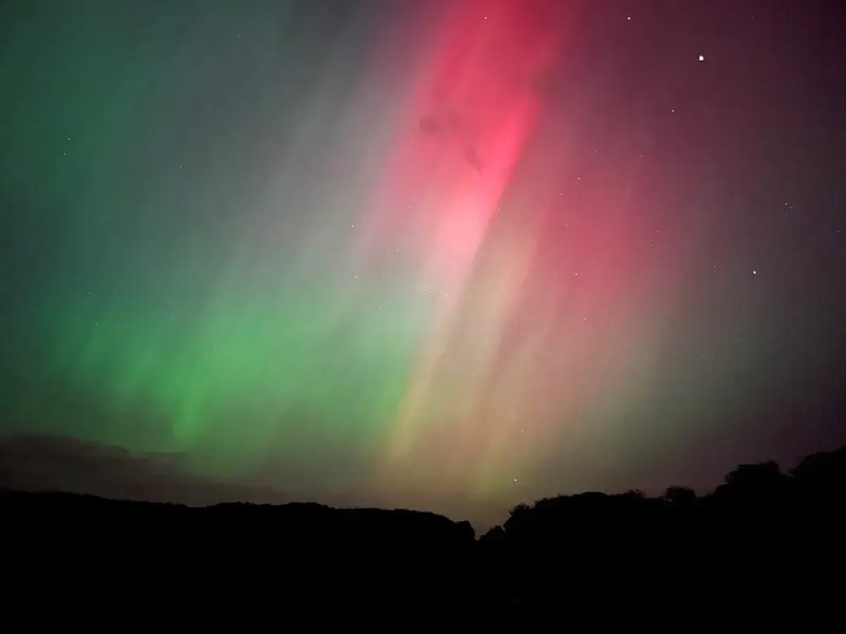 Himlen badar i gröna och rosa nyanser, ett magiskt skådespel av olika ljusfenomen på himlen över en mörk silhuett av träd.
